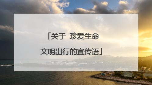 关于 珍爱生命 文明出行的宣传语