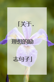 关于.理想的励志句子