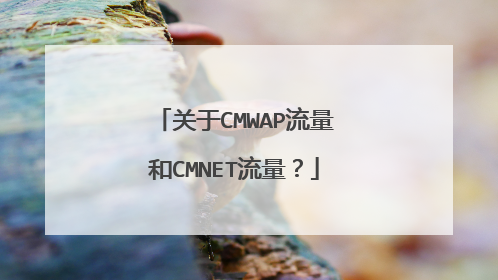 关于CMWAP流量和CMNET流量？