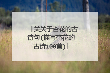 关关于杏花的古诗句(描写杏花的古诗100首)