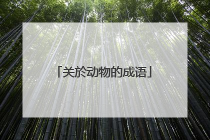 关於动物的成语