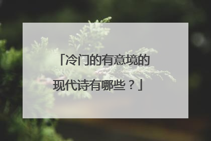 冷门的有意境的现代诗有哪些？
