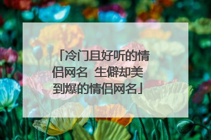 冷门且好听的情侣网名 生僻却美到爆的情侣网名