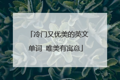 冷门又优美的英文单词 唯美有寓意