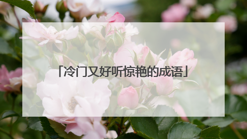 冷门又好听惊艳的成语