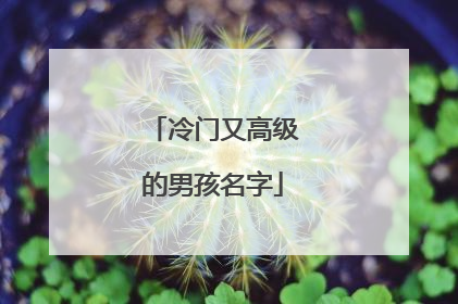 冷门又高级的男孩名字