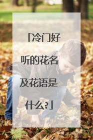 冷门好听的花名及花语是什么?