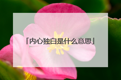 内心独白是什么意思