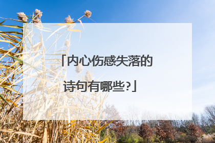 内心伤感失落的诗句有哪些?