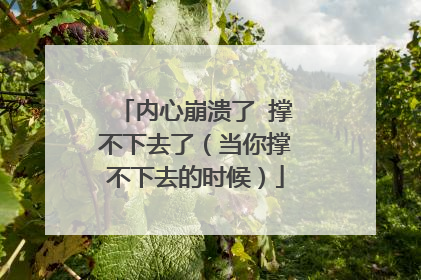 内心崩溃了 撑不下去了(当你撑不下去的时候)