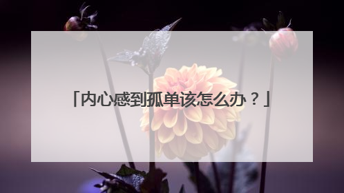内心感到孤单该怎么办?