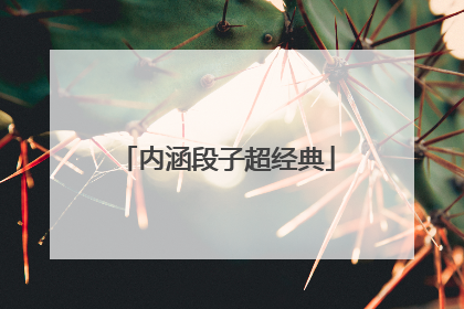 内涵段子超经典