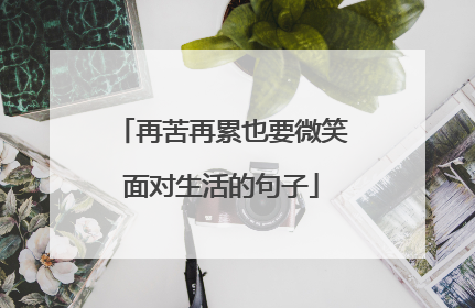再苦再累也要微笑面对生活的句子