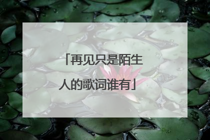 再见只是陌生人的歌词谁有