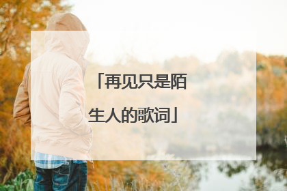 再见只是陌生人的歌词