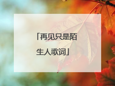 再见只是陌生人歌词