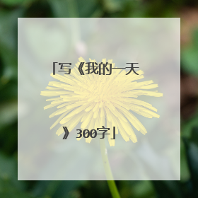 写《我的一天》300字