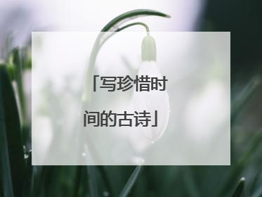 写珍惜时间的古诗