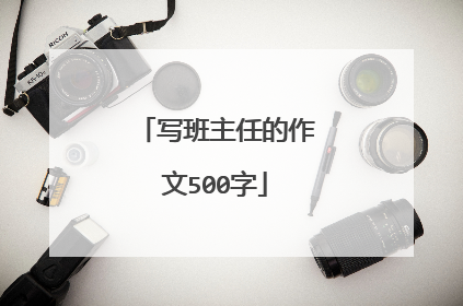 写班主任的作文500字