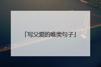 写父爱的唯美句子
