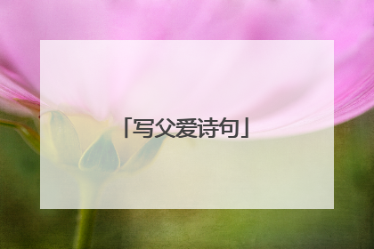 写父爱诗句