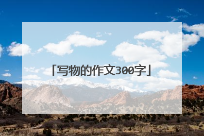 写物的作文300字