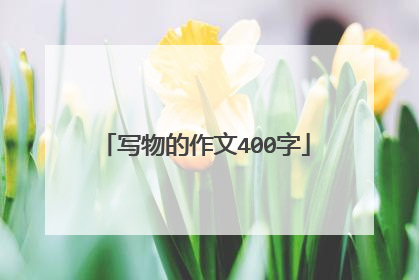 写物的作文400字