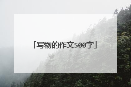 写物的作文500字