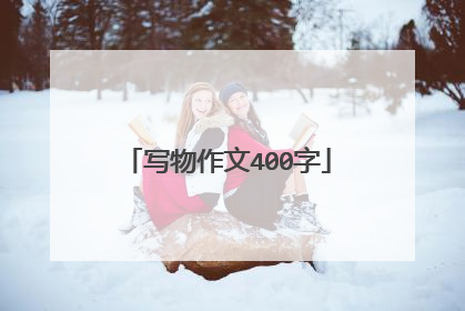 写物作文400字