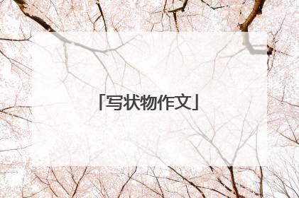 写状物作文