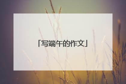 写端午的作文