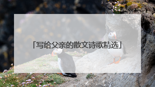 写给父亲的散文诗歌精选