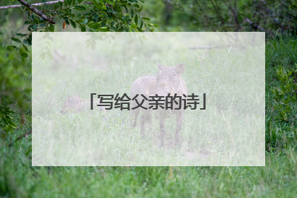 写给父亲的诗