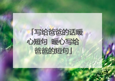 写给爸爸的话暖心短句 暖心写给爸爸的短句