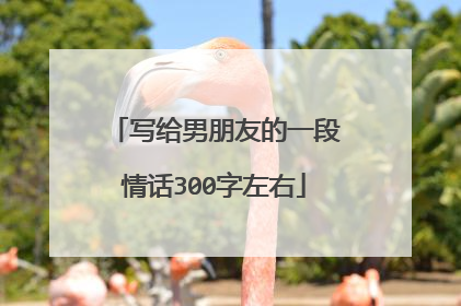 写给男朋友的一段情话300字左右