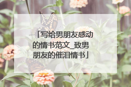 写给男朋友感动的情书范文_致男朋友的催泪情书