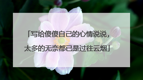 写给傻傻自己的心情说说, 太多的无奈都已是过往云烟
