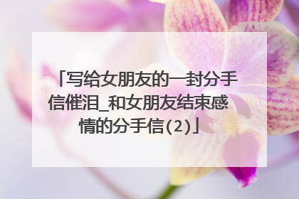 写给女朋友的一封分手信催泪_和女朋友结束感情的分手信(2)