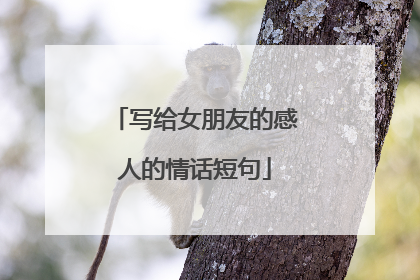 写给女朋友的感人的情话短句