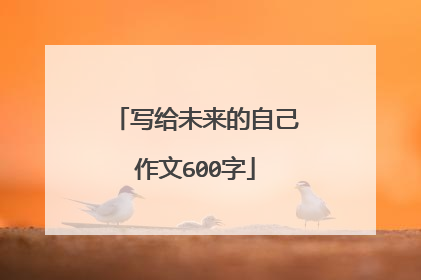写给未来的自己作文600字