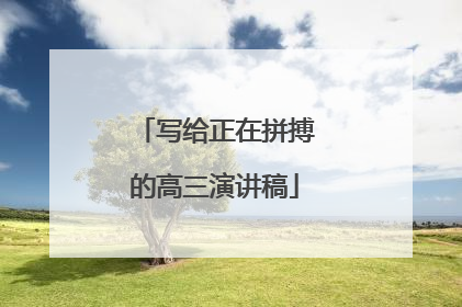写给正在拼搏的高三演讲稿