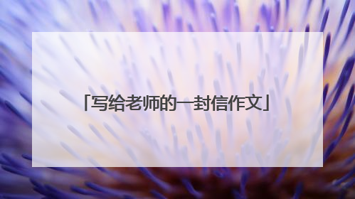 写给老师的一封信作文