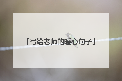 写给老师的暖心句子