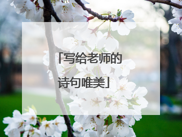 写给老师的诗句唯美