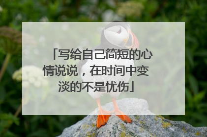 写给自己简短的心情说说,在时间中变淡的不是忧伤