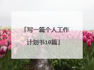 写一篇个人工作计划书10篇