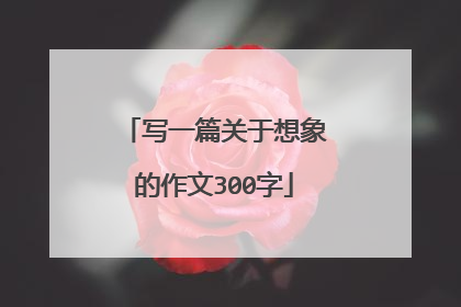 写一篇关于想象的作文300字