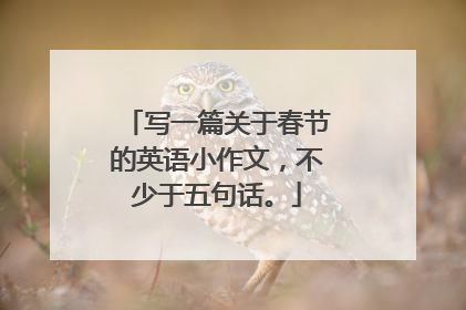 写一篇关于春节的英语小作文,不少于五句话。