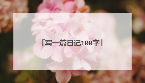 写一篇日记100字