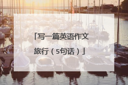 写一篇英语作文 旅行（5句话）